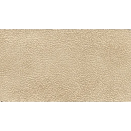 Δερματίνη με το μέτρο Odario 11 Pu / Pvc Beige